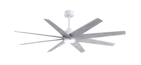 Ariella-LK 64'' Ceiling Fan in Matte White (101|ANLKMWHBW64)