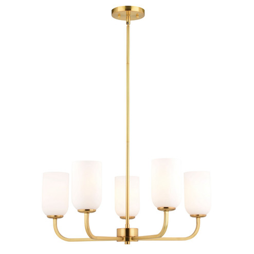 Shelby Five Light Chandelier in Natural Brass (63|H0305)