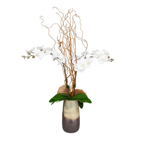 Earthbound Orchid Orchid With Vase in Natural Textures (52|60231)