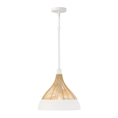 Kali One Light Pendant in Matte White (65|353911WE)