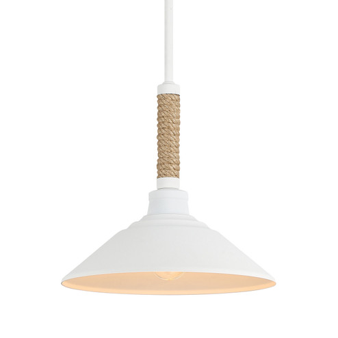 Journey One Light Pendant in Natural White (62|3318MNWT)