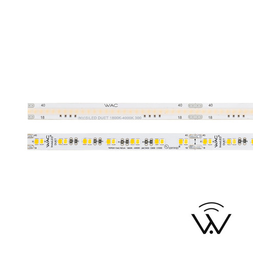 Invisiled Duet LED Tape Light in WHITE (34|T24DU301A)