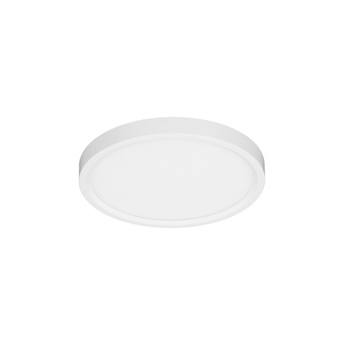 Slim Fit Slim Fit 7'' in White (303|SL75CCTWH)