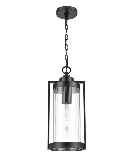 Braselton One Light Outdoor Hanging Lantern in Powder Coated Black (59|192401PBK)