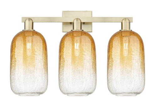 Arcadia Three Light Bath Vanity in Antique Brass (405|7163WABG4827AM)