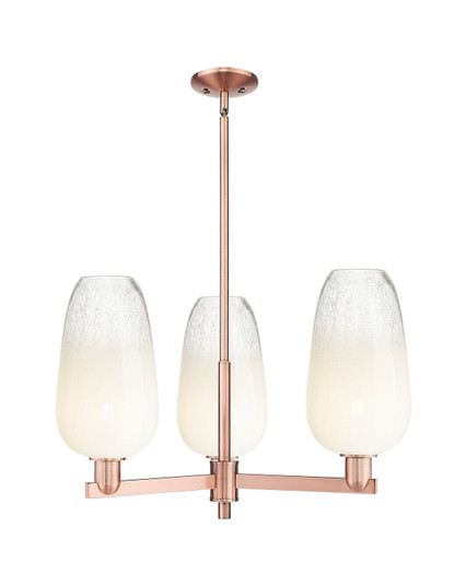 Arcadia Three Light Pendant in Antique Copper (405|7163CRACG4847OP)
