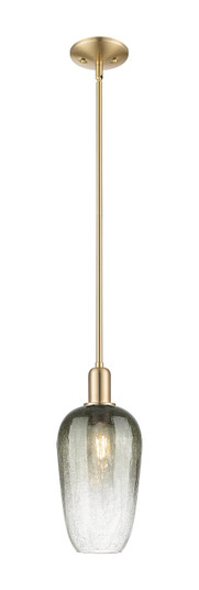 Arcadia One Light Mini Pendant in Champagne Bronze (405|7161SCBG4847SL)