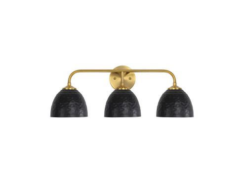 Shepard Three Light Vanity in Modern Brass (62|6950BA3MBSBLK)