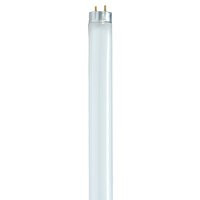 Light Bulb in White (230|S6658)