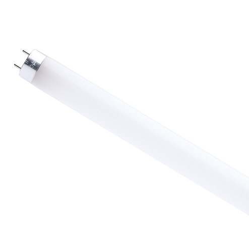 Light Bulb in Gloss White (230|S49934R1)