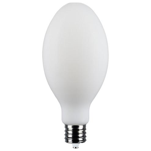 Light Bulb in White (230|S13192)
