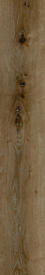 Legacy Luxury Vinyl Flooring in Hickory Oak (173|LVFOAK05755V2)