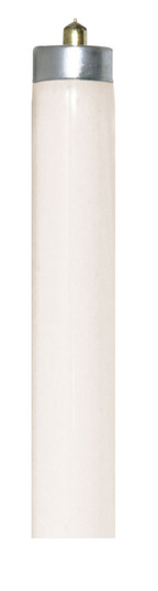 Light Bulb in White (230|S6476)