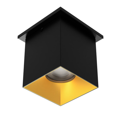 Zoron LED Flush Mount in Black/Gold (34|C4STNCSBKGL)