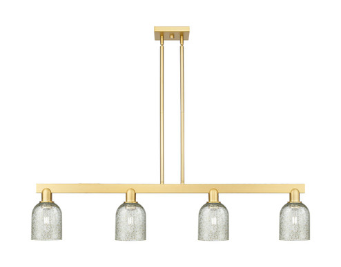Arcadia Four Light Island Pendant in Satin Gold (405|7164ISGG259)