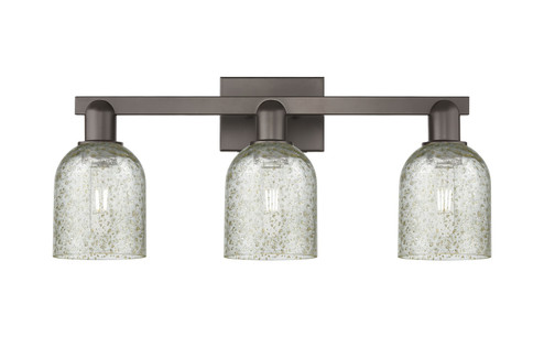 Arcadia Three Light Bath Vanity in Oil Rubbed Bronze (405|7163WOBG259)