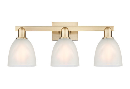 Arcadia Three Light Bath Vanity in Champagne Bronze (405|7163WCBG381)
