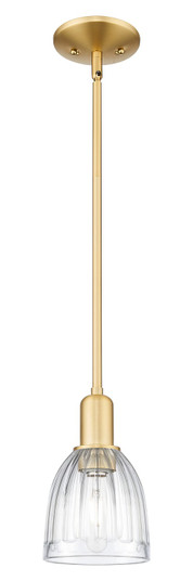 Arcadia One Light Mini Pendant in Satin Gold (405|7161SSGG442)