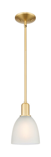 Arcadia One Light Mini Pendant in Satin Gold (405|7161SSGG381)