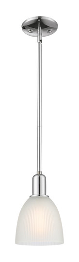Arcadia One Light Mini Pendant in Polished Chrome (405|7161SPCG381)