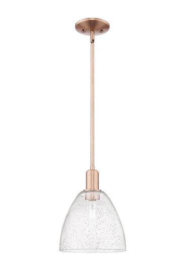 Arcadia One Light Mini Pendant in Antique Copper (405|7161SACGBD94)