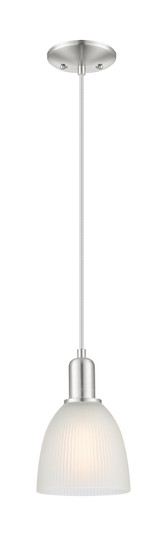 Arcadia One Light Mini Pendant in Brushed Satin Nickel (405|7161PSNG381)