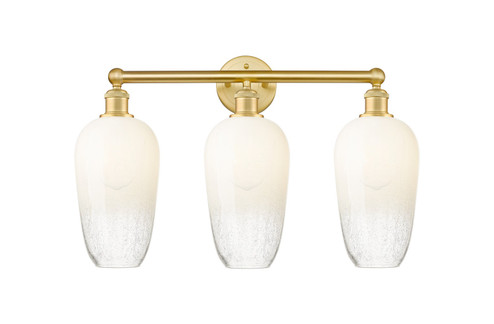 Edison Three Light Bath Vanity in Satin Gold (405|6163WSGG4847OP)