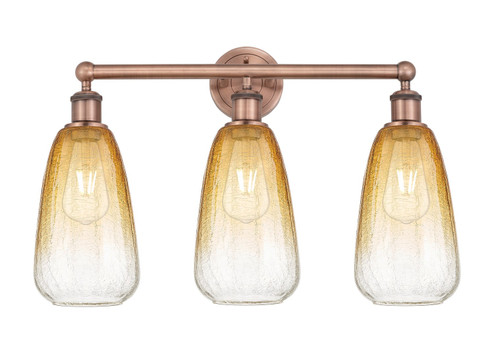 Edison Three Light Bath Vanity in Antique Copper (405|6163WACG4806AM)