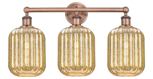 Edison Three Light Bath Vanity in Antique Copper (405|6163WACG4607ME)