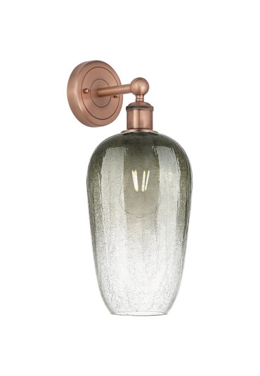 Edison One Light Wall Sconce in Antique Copper (405|6161WACG4847SL)