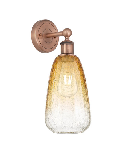 Edison One Light Wall Sconce in Antique Copper (405|6161WACG4806AM)