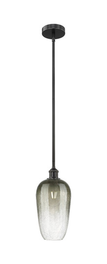 Edison One Light Mini Pendant in Matte Black (405|6161SBKG4847SL)