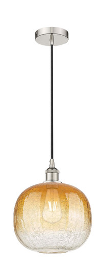 Edison One Light Mini Pendant in Polished Nickel (405|6161PPNG48110AM)
