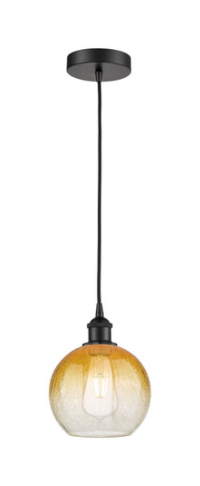 Edison One Light Mini Pendant in Matte Black (405|6161PBKG4838AM)