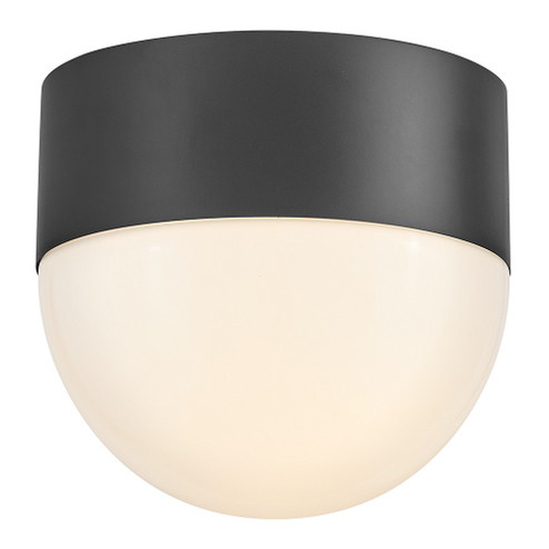Bardi LED Flush Mount in Black (531|82091BK)