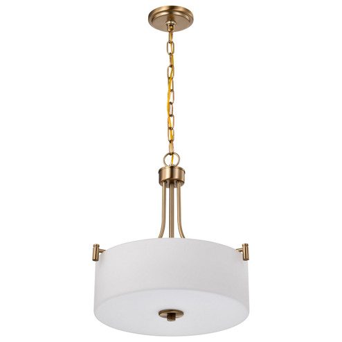 Liam Three Light Pendant in Burnished Brass (72|608204)