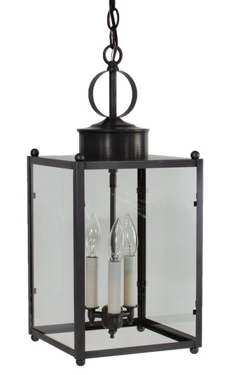 Marlene Three Light Hanging Lantern in Dark Brass (196|NL8052DBLT3CLR)