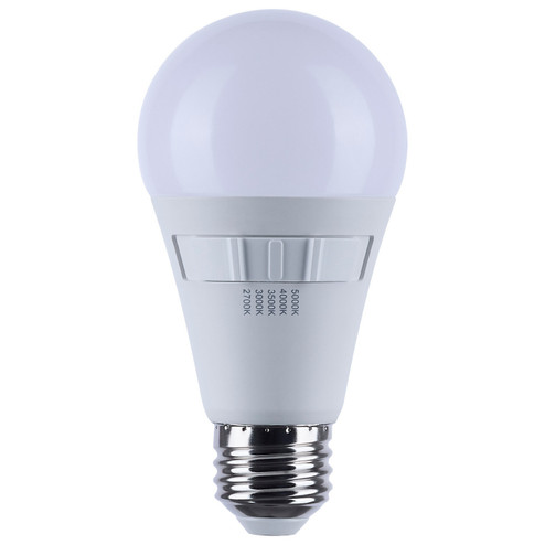 Light Bulb in Frost (230|S11777R1)