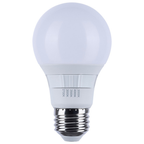 Light Bulb in Frost (230|S11770R1)