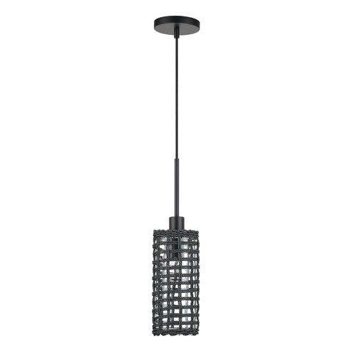 Twinewell One Light Mini Pendant in Black (107|6045104)