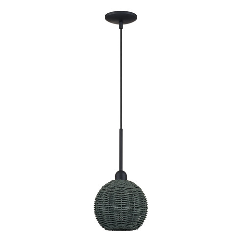 Deluna One Light Mini Pendant in Black (107|6015204)