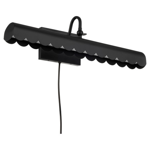 Karnes LED Picture Light in Matte Black (19|956259)