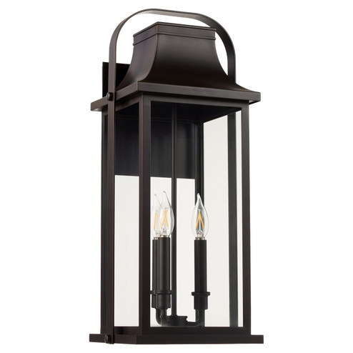 Downey Three Light Lantern in Bronze (19|7412336)