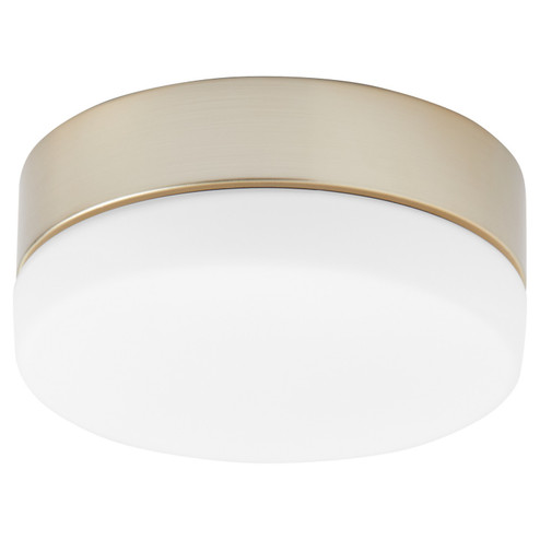 Allegro LED Fan Light Kit in Aged Brass (19|3911940)