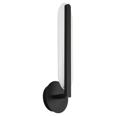Avian LED Wall Sconce in Black (19|3514515)