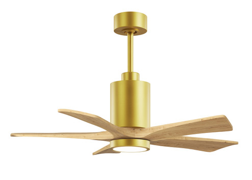 Patricia-5 42'' Ceiling Fan in Brushed Brass (101|PA5BRBRLM42)