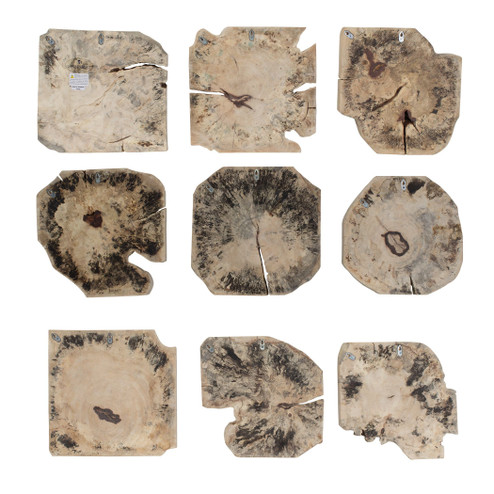 Bahati Wall Decor Set/9 in Light Bleached (52|04398)