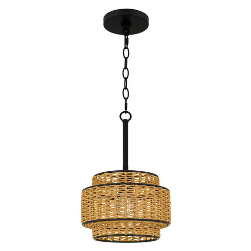 Teton One Light Mini Pendant in Matte Black (10|TET1510MBK)