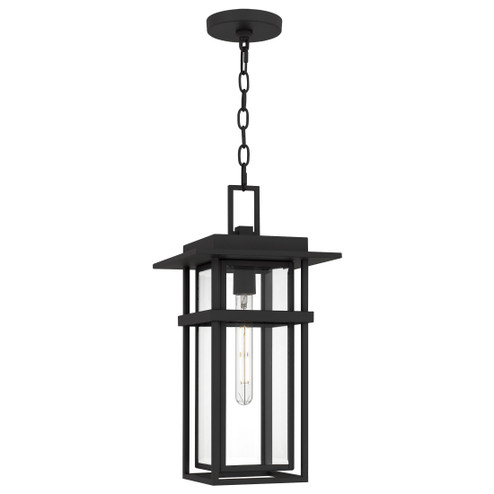 Morgan One Light Outdoor Hanging Lantern in Earth Black (10|MORG1910EK)