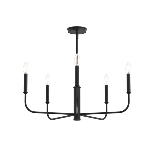 Reines Five Light Chandelier in Matte Black (54|P40044631M)
